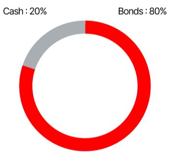 Conservative Portfolio