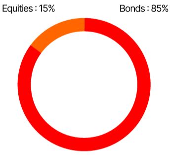 Balanced Portfolio